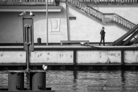 Szczecin 2014.03 071
