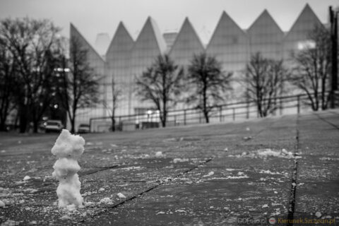 Szczecin. miniFOTOREPORTAŻ. 21.01.2015. „Trudny” Bałwanek 02
