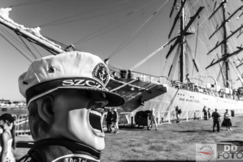 The Tall Ship Races 2013 08