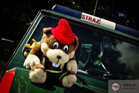 2012_08_11-12_firefighters04