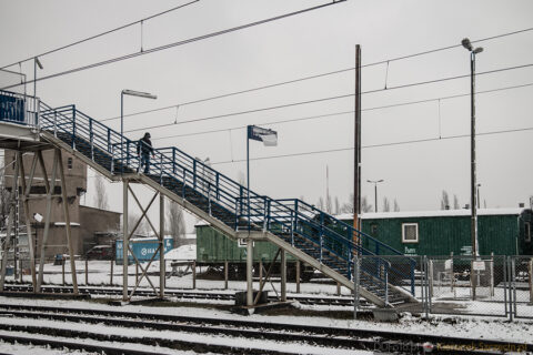 Szczecin - styczeń 2015 fot. 83