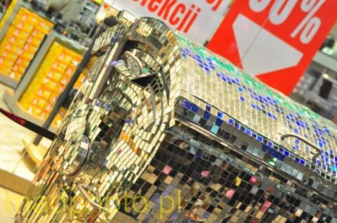 19. Finał WOŚP 2011 - Szczecin Galaxy