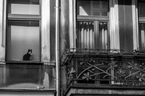 Szczecin 2014.03 179