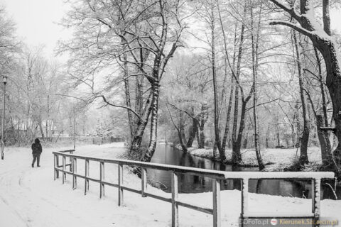 Szczecin - styczeń 2015 fot. 81