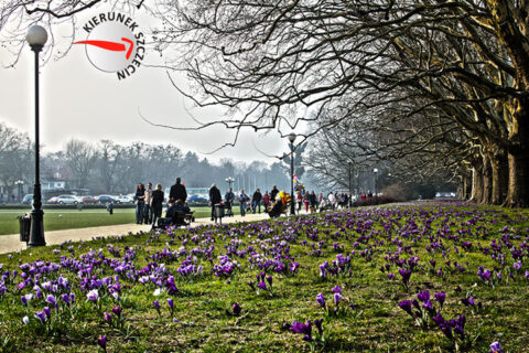 2012-03-17-szczecin-04
