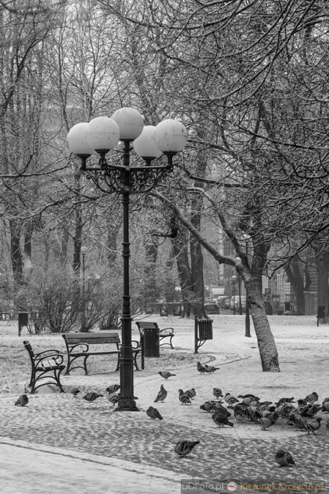 Szczecin - styczeń 2015 fot. 45