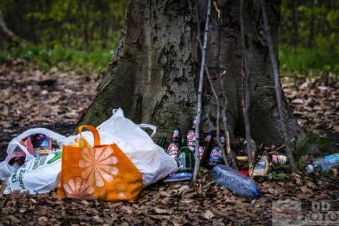KWIECIEŃ 2013. Puszcza Bukowa w obiektywie 24