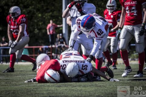 Cougars Szczecin vs Raiders Bydgoszcz 38