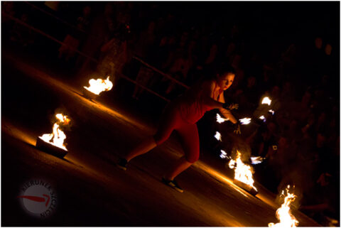 burnmajster-2011-06