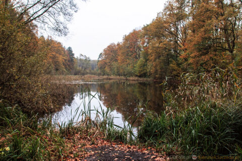 2014_10_Szczecin68