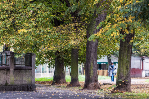 2014_10_Szczecin18