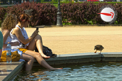 Szczecinian sposoby na upały 05
